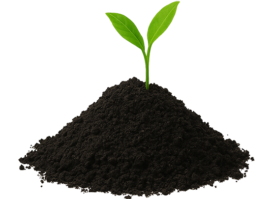 Biochar
