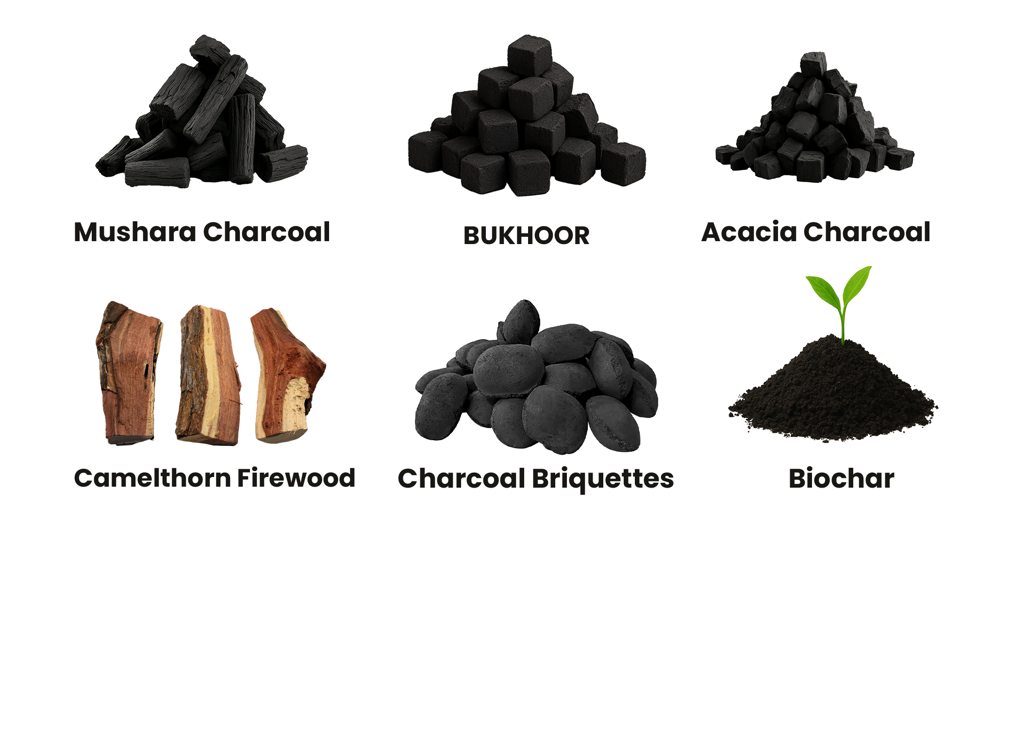 All Charcoal Types